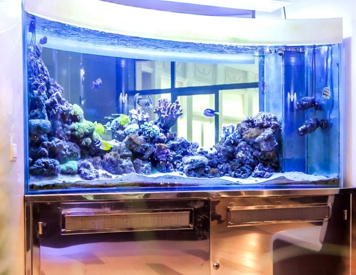 Фитобар - Санаторий «Заря» Кисловодск