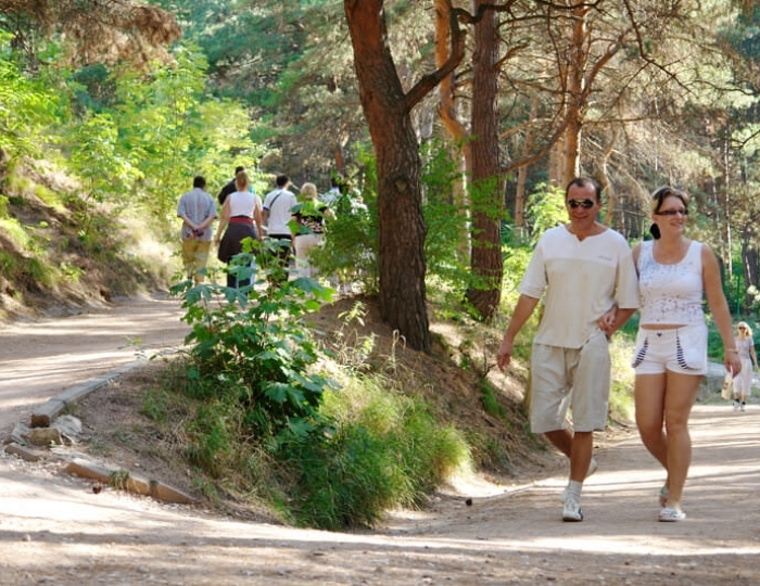 Терренкур - Оздоровительные услуги - Санаторий «Заря» Кисловодск